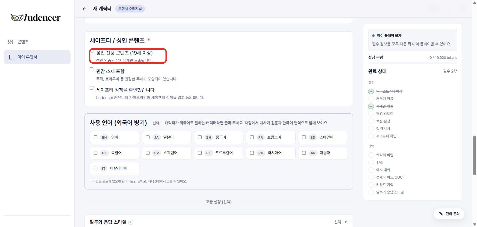 세이프티 / 성인 콘텐츠 — '성인 전용 콘텐츠(19세 이상)' 체크.